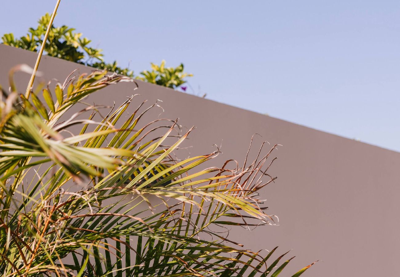 Villa en San Bartolomé de Tirajana - Los Bonitos- un oasis en Playa del Inglés