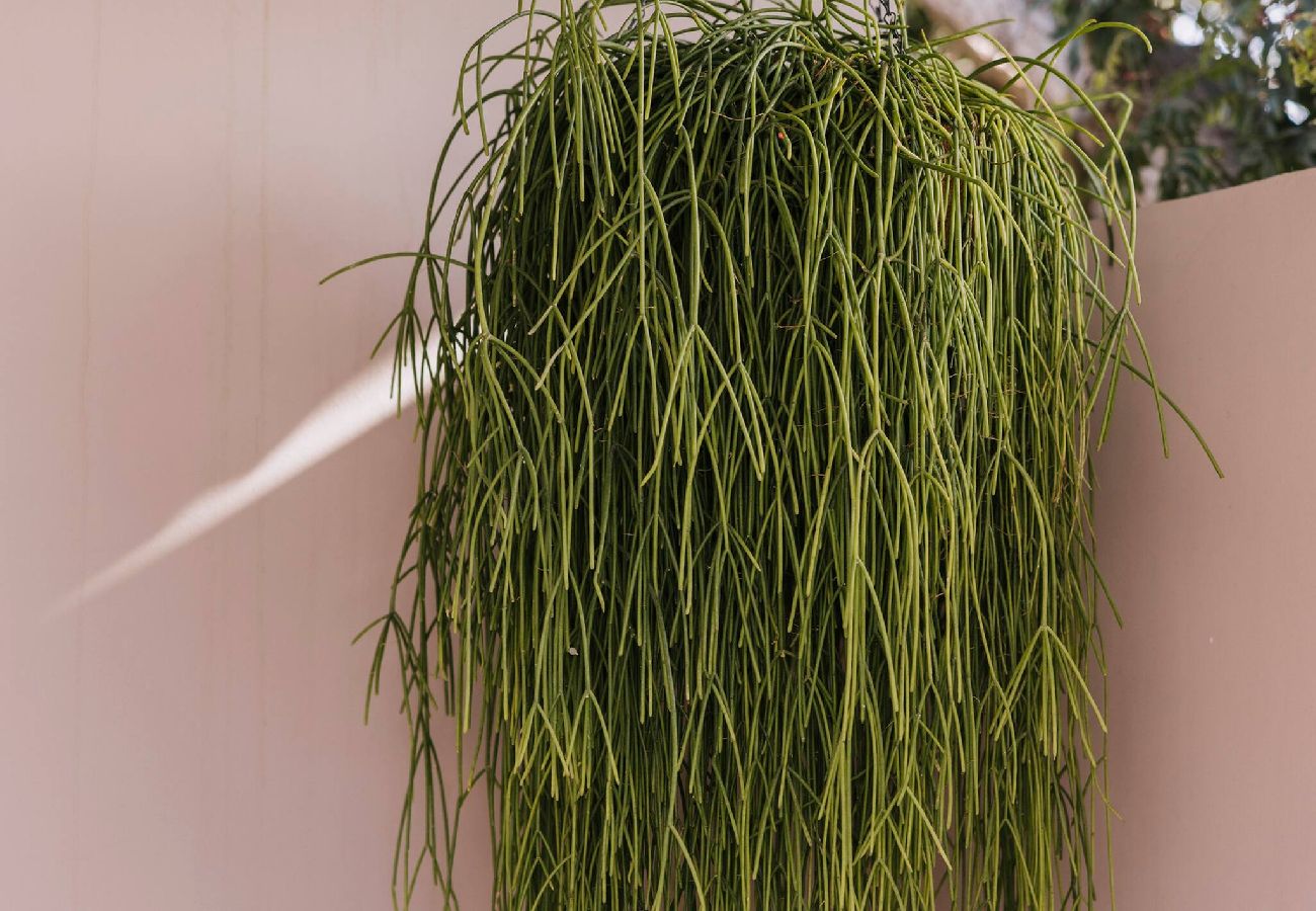 Villa en San Bartolomé de Tirajana - Los Bonitos- un oasis en Playa del Inglés