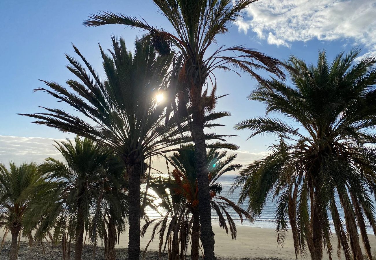 Apartamento en Maspalomas - Casa Tabera - Sun Club Playa del Águila