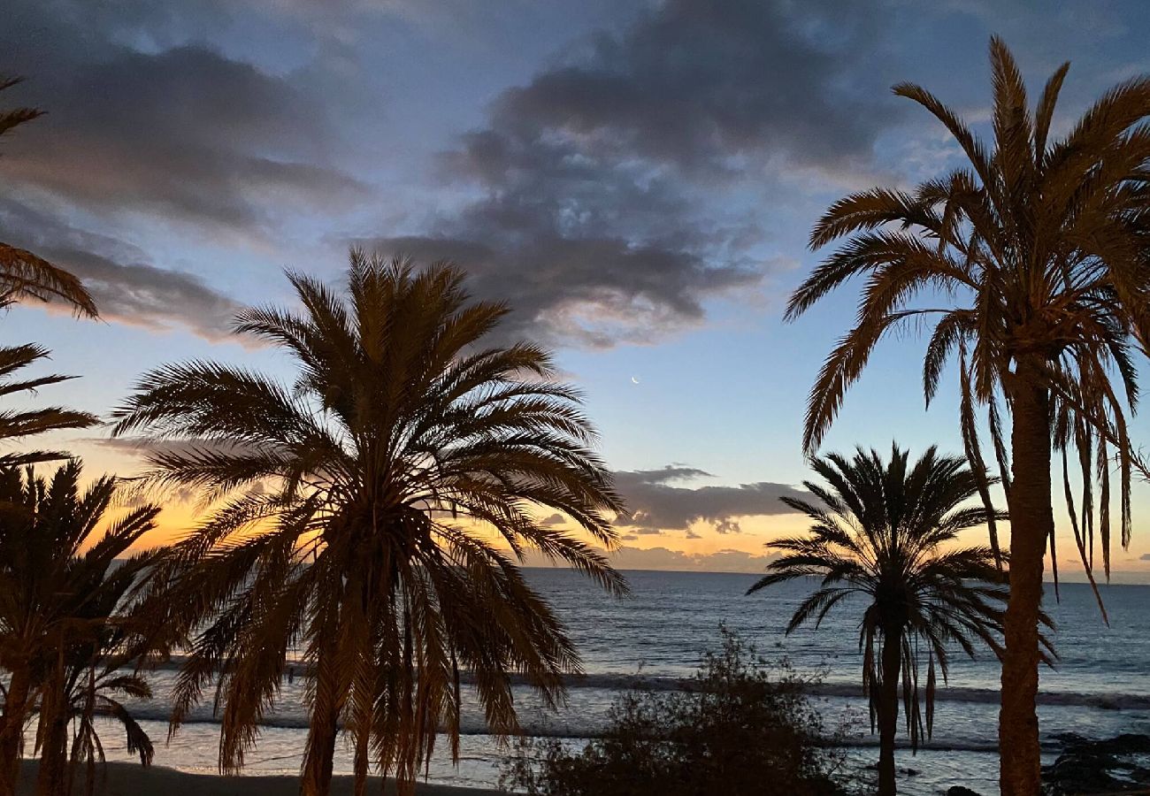 Apartamento en Maspalomas - Casa Tabera - Sun Club Playa del Águila