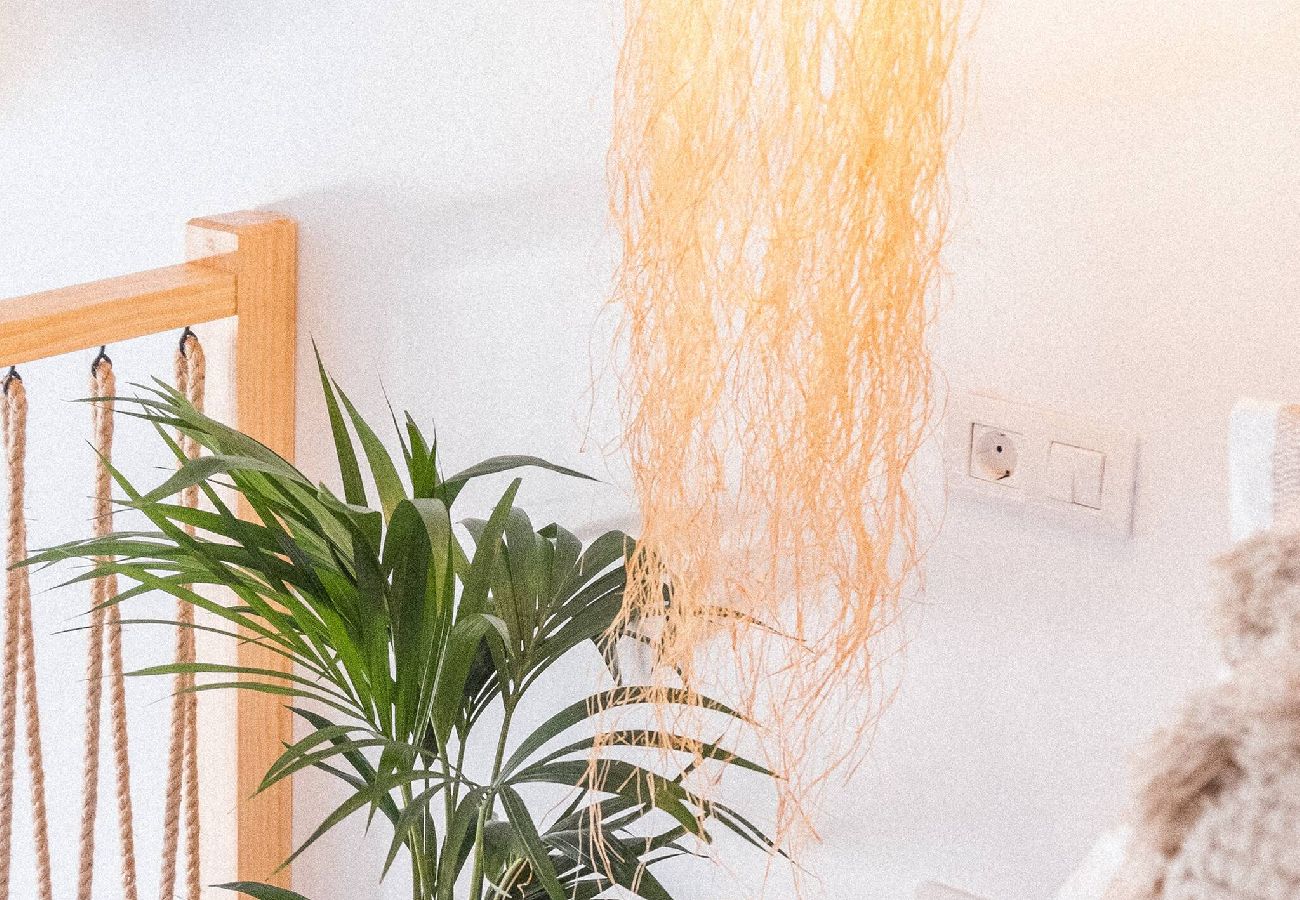 Apartment in Maspalomas - Luxury Beach - 2 Bedroom Apartment