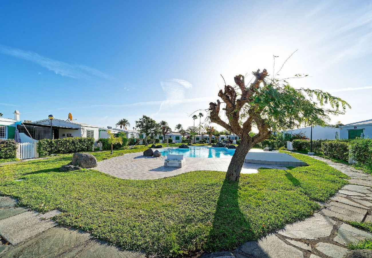 Villa in Maspalomas - Villa Carolina - Maspalomas