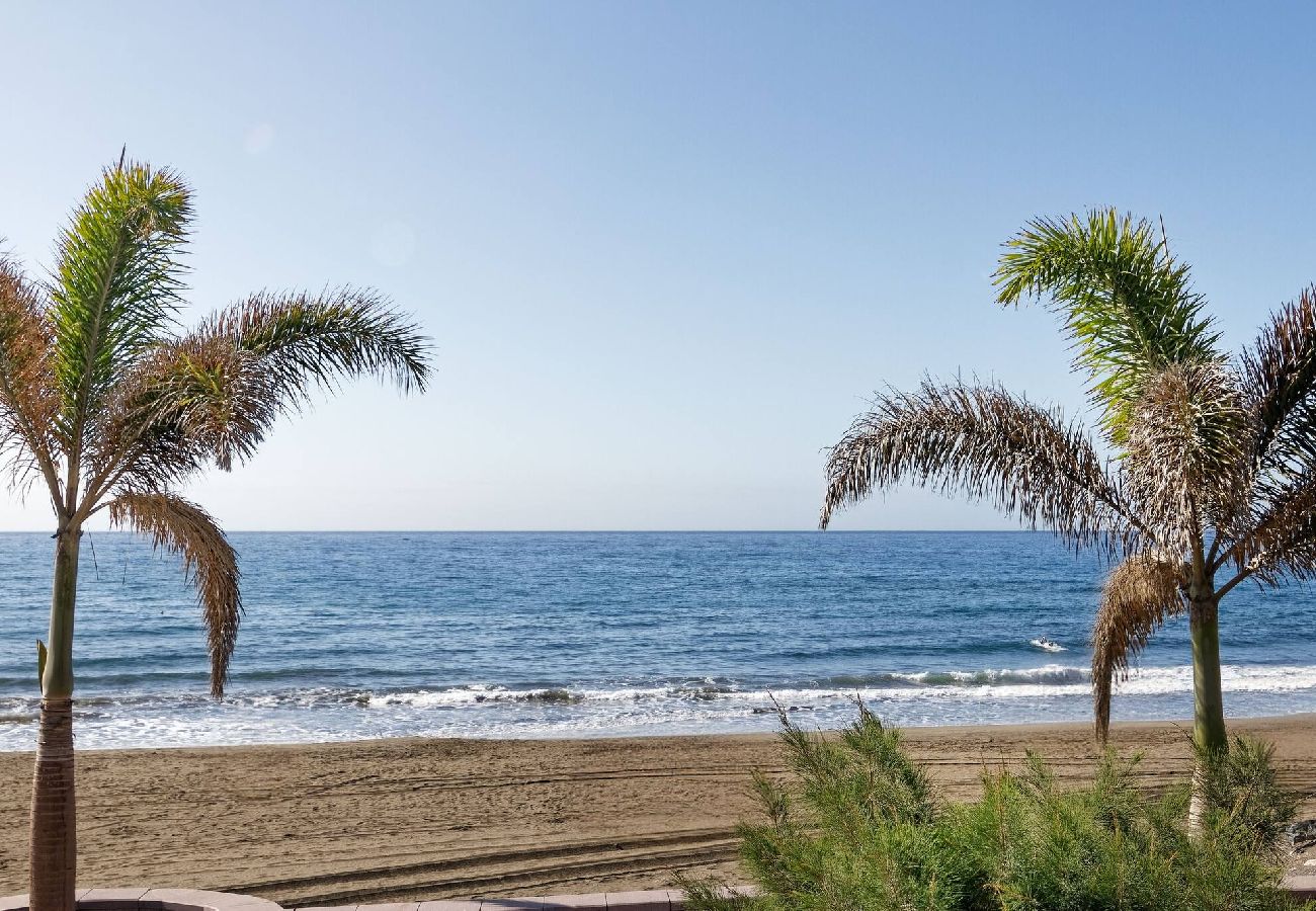 Apartment in Maspalomas - 1.3 Amapola Palms - recién reformado, frente al ma